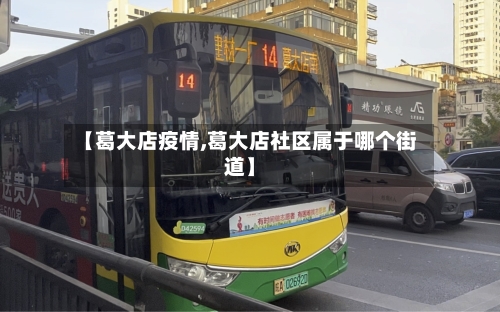 【葛大店疫情,葛大店社区属于哪个街道】