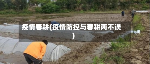 疫情春耕(疫情防控与春耕两不误)