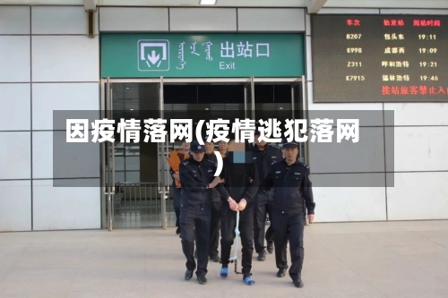 因疫情落网(疫情逃犯落网)