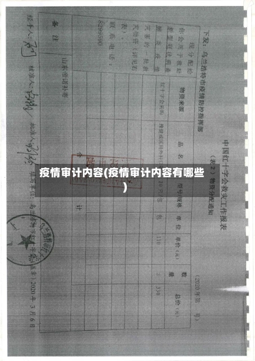 疫情审计内容(疫情审计内容有哪些)