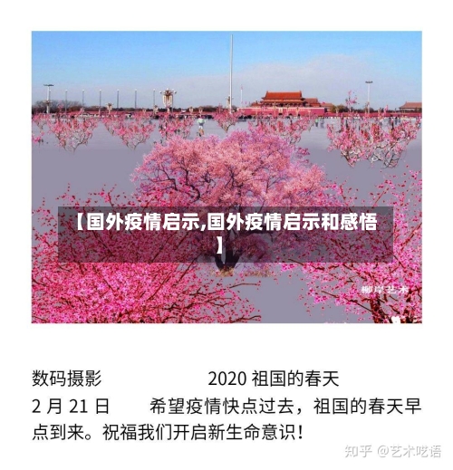 【国外疫情启示,国外疫情启示和感悟】