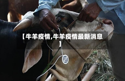 【牛羊疫情,牛羊疫情最新消息】