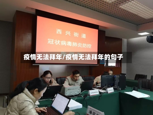疫情无法拜年/疫情无法拜年的句子