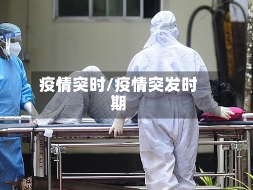 疫情突时/疫情突发时期