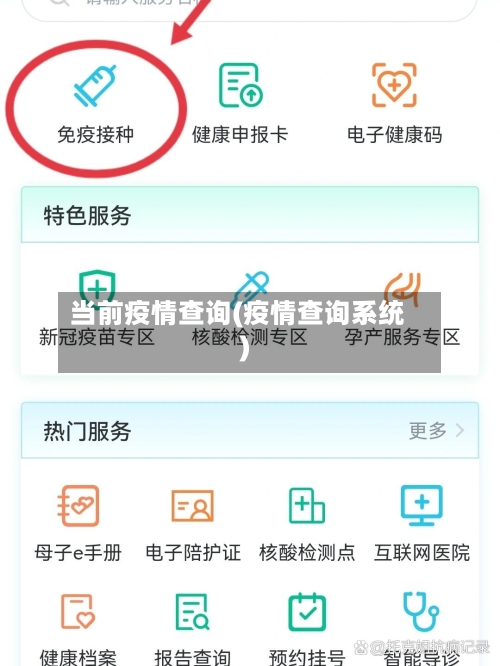 当前疫情查询(疫情查询系统)