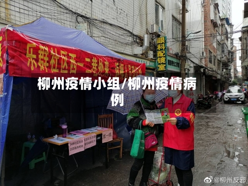 柳州疫情小组/柳州疫情病例