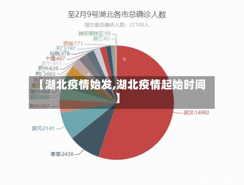 【湖北疫情始发,湖北疫情起始时间】