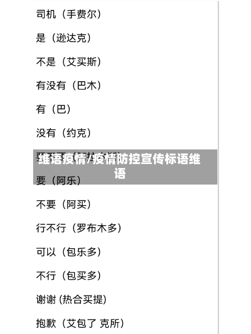 维语疫情/疫情防控宣传标语维语
