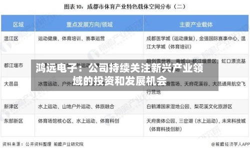 鸿远电子：公司持续关注新兴产业领域的投资和发展机会