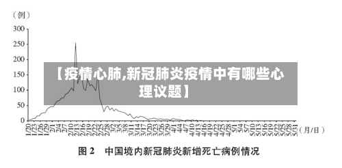 【疫情心肺,新冠肺炎疫情中有哪些心理议题】