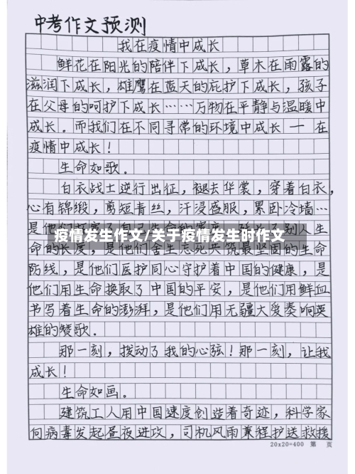 疫情发生作文/关于疫情发生时作文