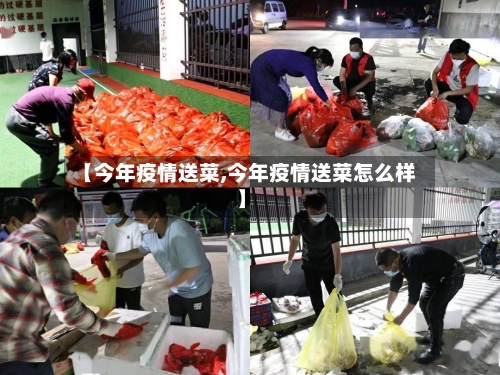 【今年疫情送菜,今年疫情送菜怎么样】