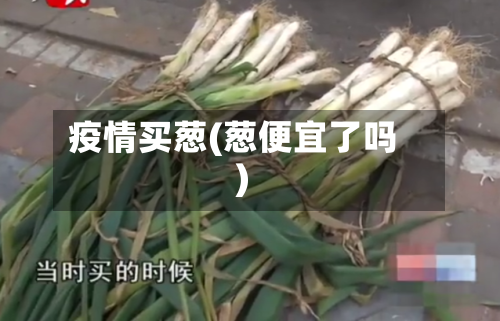 疫情买葱(葱便宜了吗)