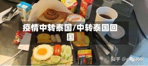 疫情中转泰国/中转泰国回国
