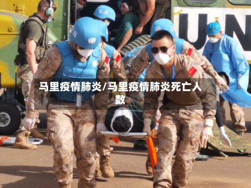 马里疫情肺炎/马里疫情肺炎死亡人数