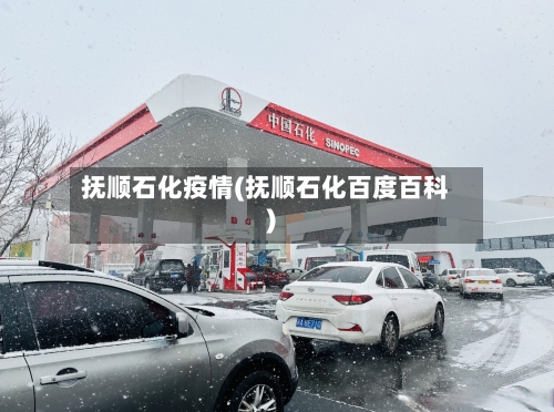 抚顺石化疫情(抚顺石化百度百科)