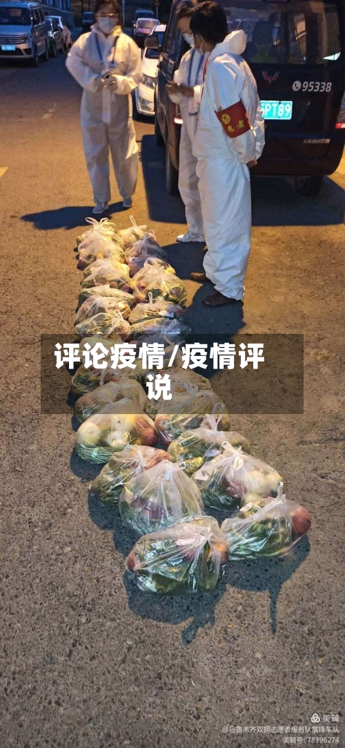 评论疫情/疫情评说