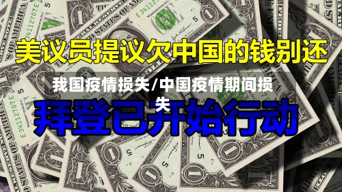 我国疫情损失/中国疫情期间损失