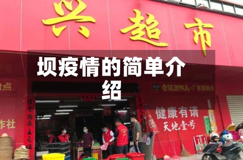 坝疫情的简单介绍