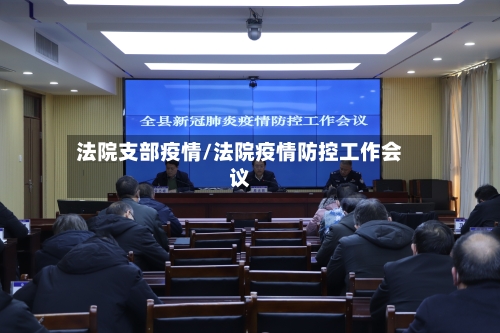法院支部疫情/法院疫情防控工作会议