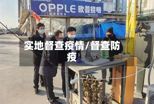 实地督查疫情/督查防疫