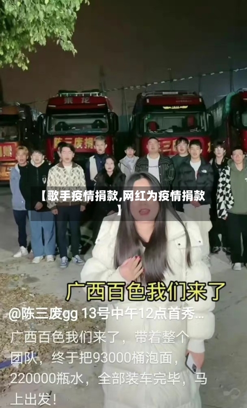【歌手疫情捐款,网红为疫情捐款】