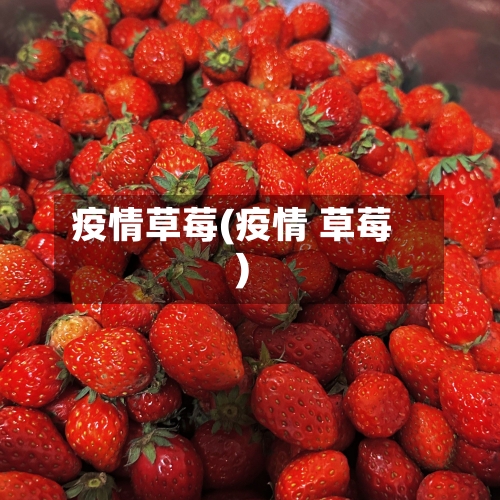疫情草莓(疫情 草莓)