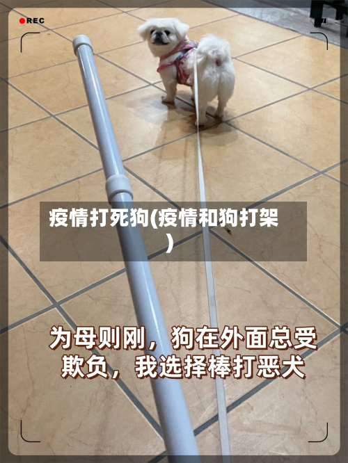 疫情打死狗(疫情和狗打架)