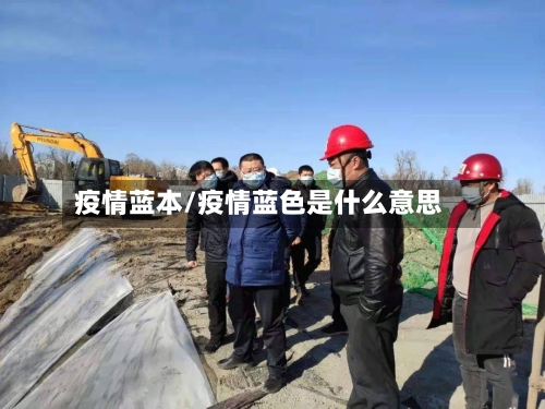 疫情蓝本/疫情蓝色是什么意思