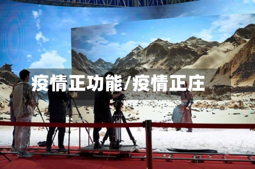 疫情正功能/疫情正庄
