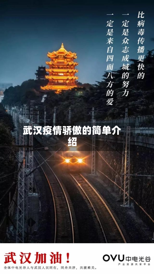 武汉疫情骄傲的简单介绍