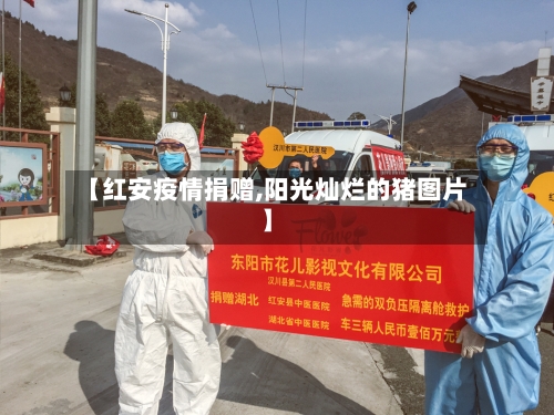 【红安疫情捐赠,阳光灿烂的猪图片】