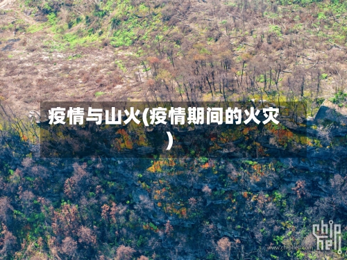 疫情与山火(疫情期间的火灾)