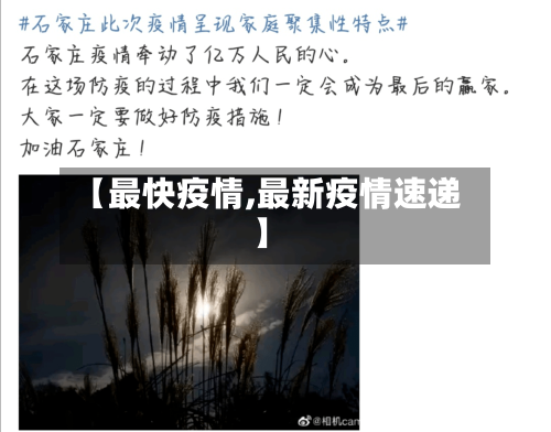 【最快疫情,最新疫情速递】