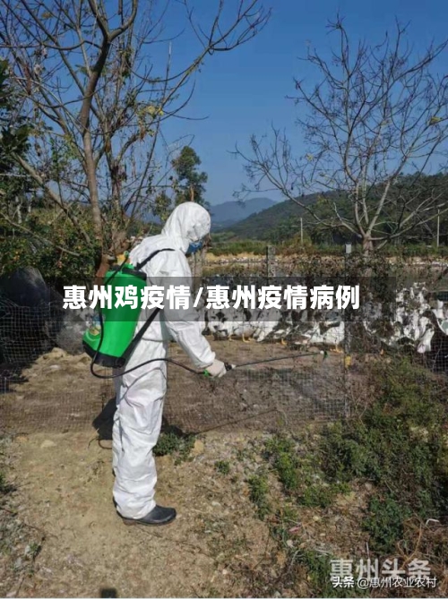 惠州鸡疫情/惠州疫情病例