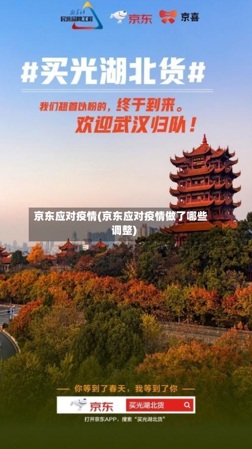 京东应对疫情(京东应对疫情做了哪些调整)