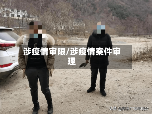 涉疫情审限/涉疫情案件审理