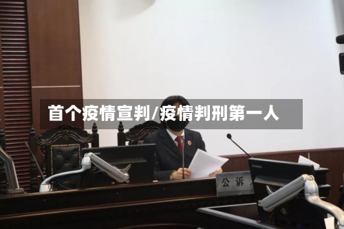 首个疫情宣判/疫情判刑第一人