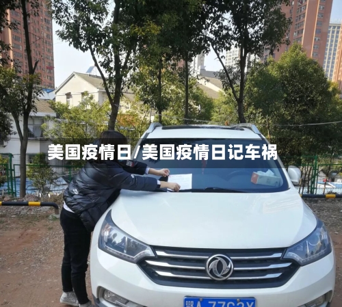 美国疫情日/美国疫情日记车祸