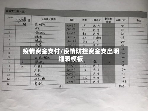 疫情资金支付/疫情防控资金支出明细表模板