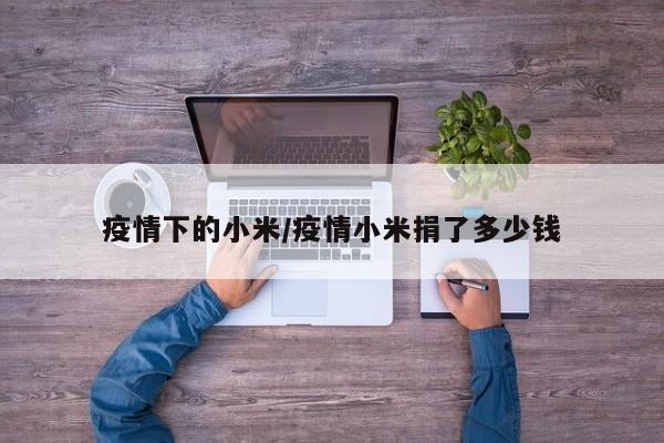 疫情下的小米/疫情小米捐了多少钱